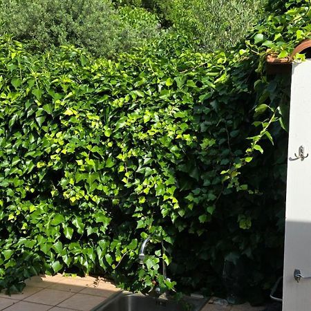 Villa Margherita Maratea Dış mekan fotoğraf